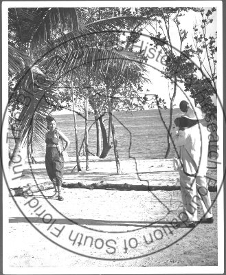 BAF_MS_00132_1A_3R