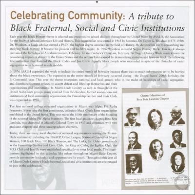 2006_2007_003a_Black_Institutions